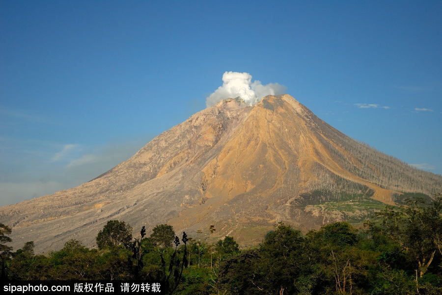 印尼錫納朋火山暫時趨于平緩 農(nóng)民菜田淡定勞作