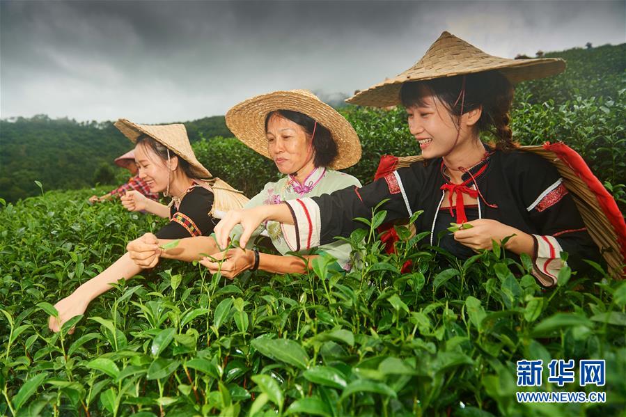 春潮拍岸千帆進——海南特區(qū)改革開放30年紀(jì)實