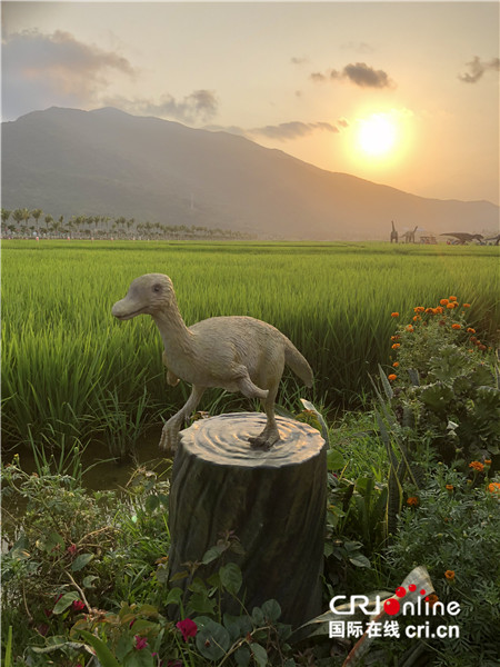 海南全域旅游多點(diǎn)開花 國(guó)際旅游島建設(shè)生機(jī)勃勃