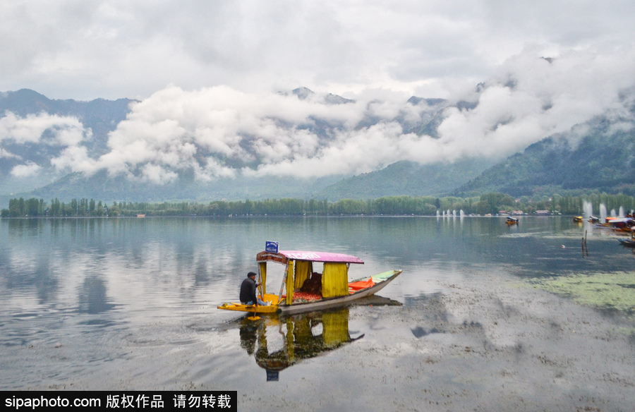 恍若置身江南煙雨中！印度漁民雨中泛舟詩(shī)意綿綿