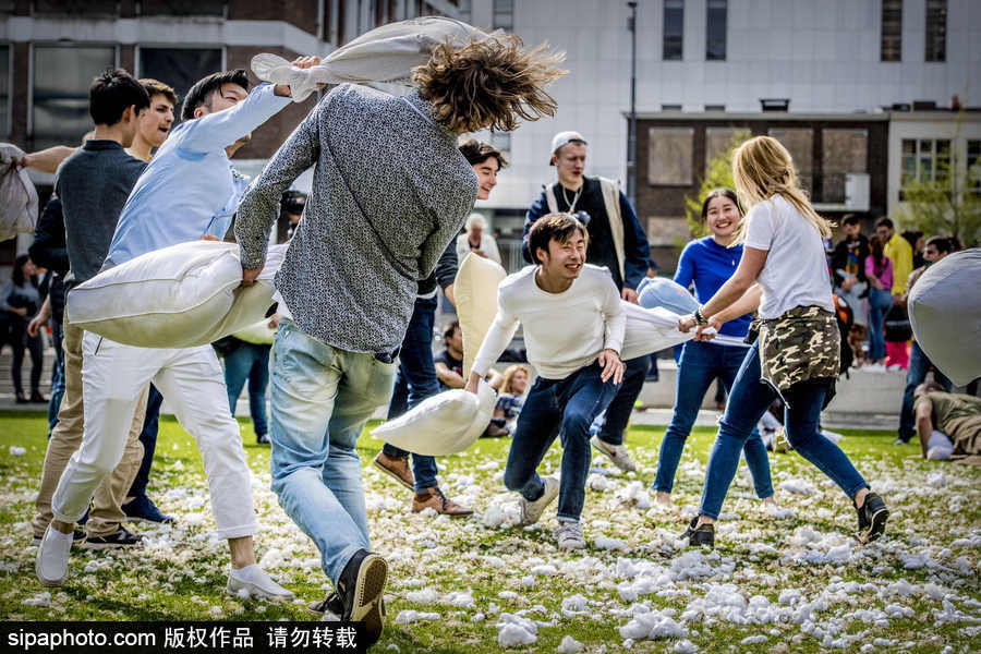 國際枕頭大戰(zhàn)日 荷蘭鹿特丹民眾街頭狂歡