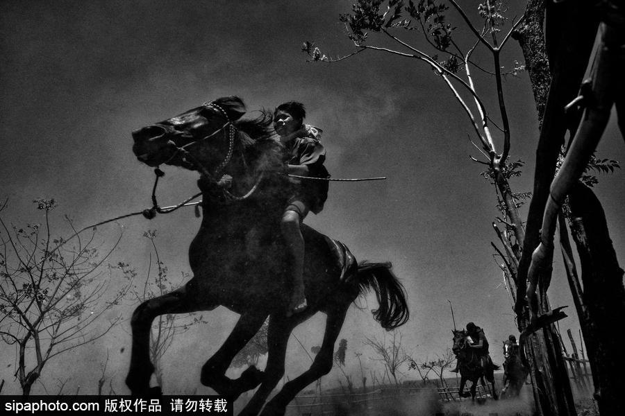 第61屆“荷賽”獲獎(jiǎng)作品揭曉 精選作品賞析