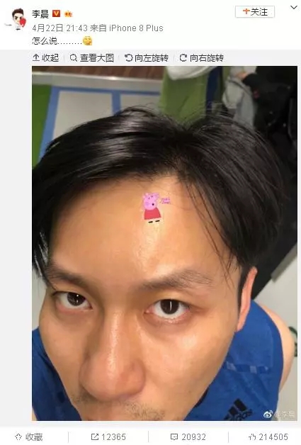 圈粉無(wú)數(shù)的小豬佩奇，到底為啥被叫做“社會(huì)人”？