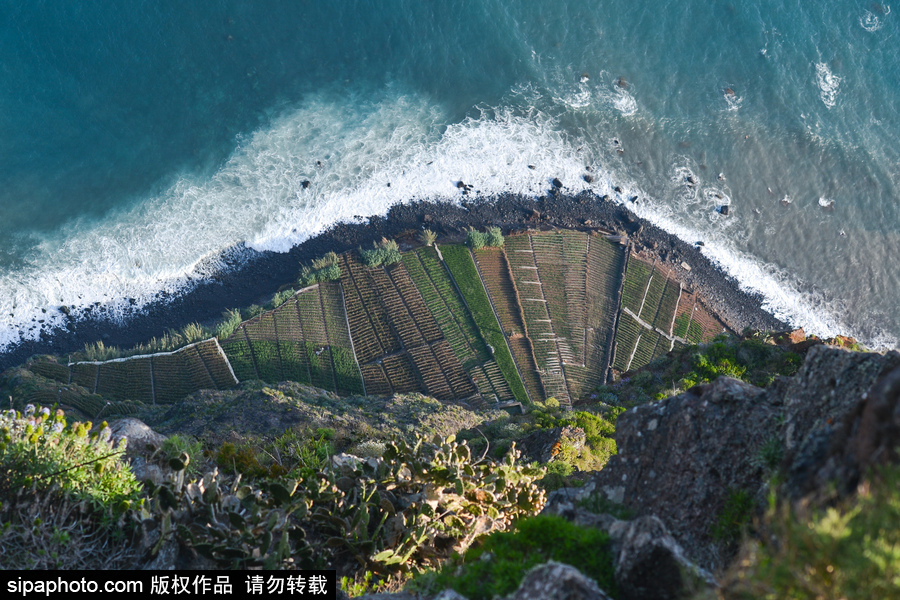 走進C羅的故鄉(xiāng) 小眾的“海上花園”馬德拉島