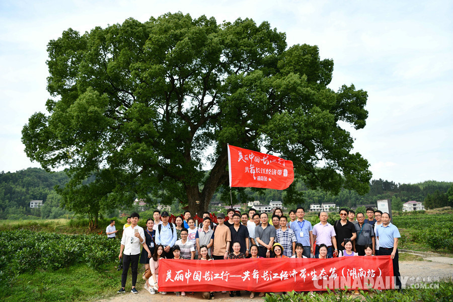 【美麗中國長江行】“美麗中國長江行——共舞長江經(jīng)濟(jì)帶•生態(tài)篇”網(wǎng)絡(luò)主題活動湖南站媒體團(tuán)走進(jìn)常德桃源夷望溪景區(qū)