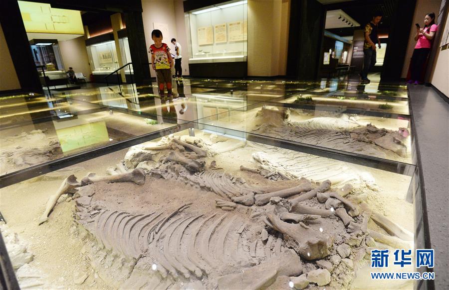 走進(jìn)博物館 迎接國際博物館日