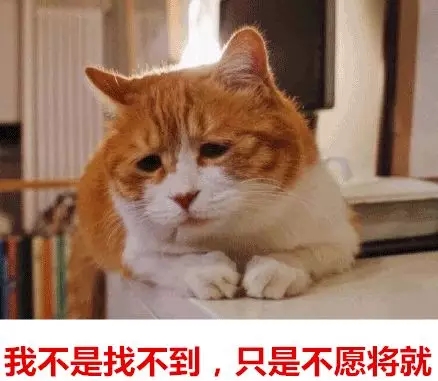 你單身的原因找到了！最新調(diào)查：七成人不愿將就，半數(shù)男生看臉