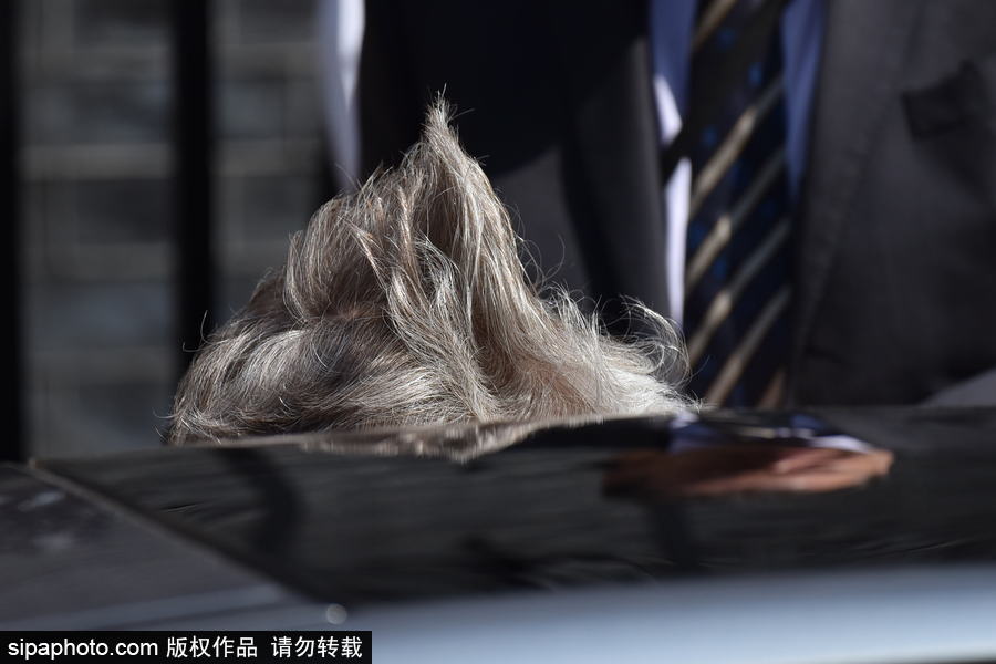 英國(guó)首相特麗莎·梅現(xiàn)身唐寧街 頭發(fā)在風(fēng)中凌亂秒變“雞冠”