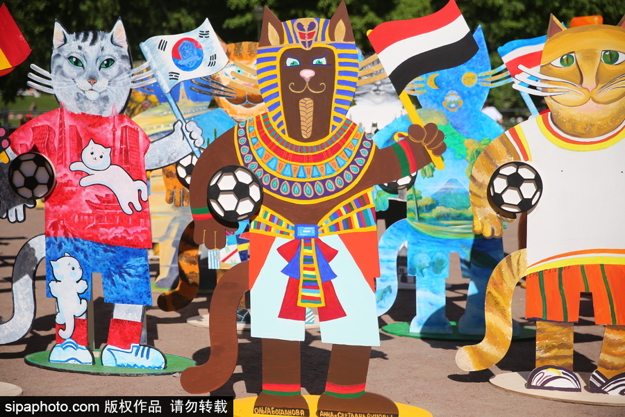 俄羅斯“預(yù)言貓”攜各國“貓咪”們現(xiàn)身 迎接2018世界杯到來