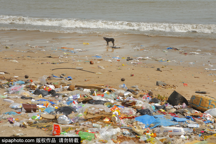 印度海灘成垃圾場 環(huán)保志愿者數(shù)年如一日堅(jiān)持清理