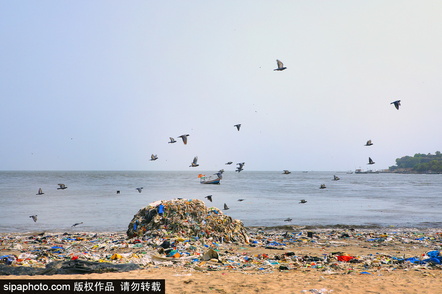 印度海灘成垃圾場 環(huán)保志愿者數(shù)年如一日堅(jiān)持清理