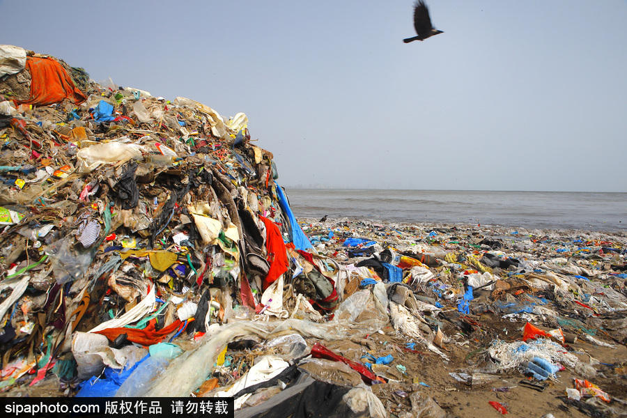 印度海灘成垃圾場 環(huán)保志愿者數(shù)年如一日堅持清理