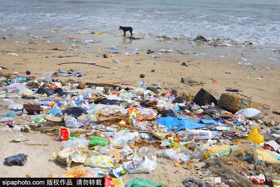 印度海灘成垃圾場 環(huán)保志愿者數(shù)年如一日堅持清理