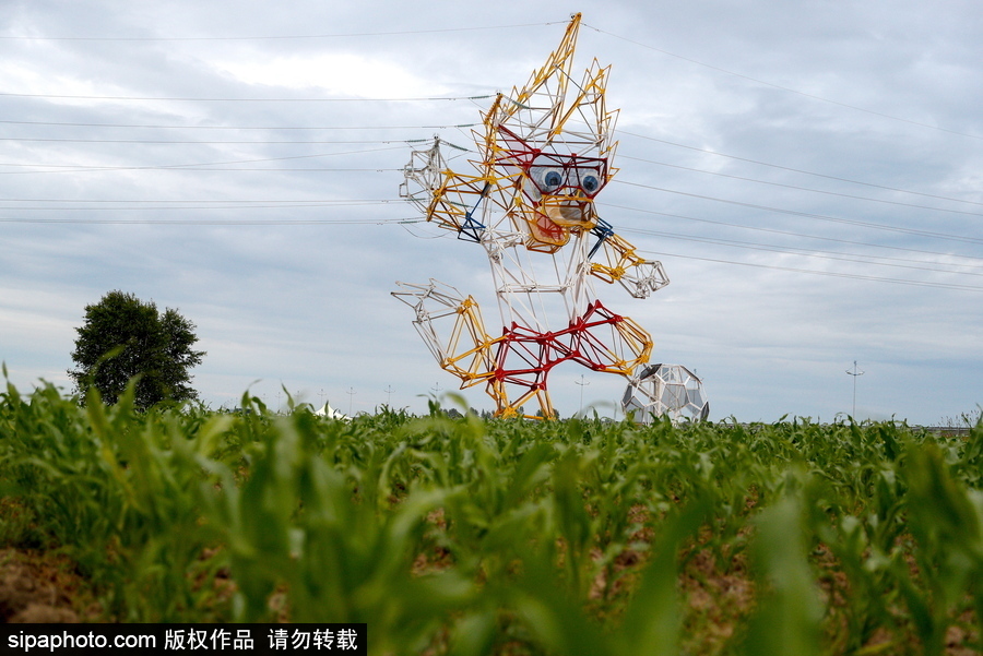 要不要這么萌！俄羅斯路邊一電力塔變身世界杯吉祥物