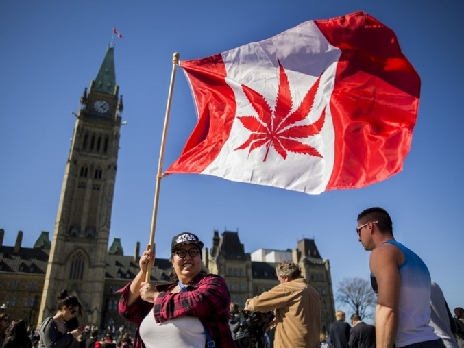 加拿大通過大麻合法化法案