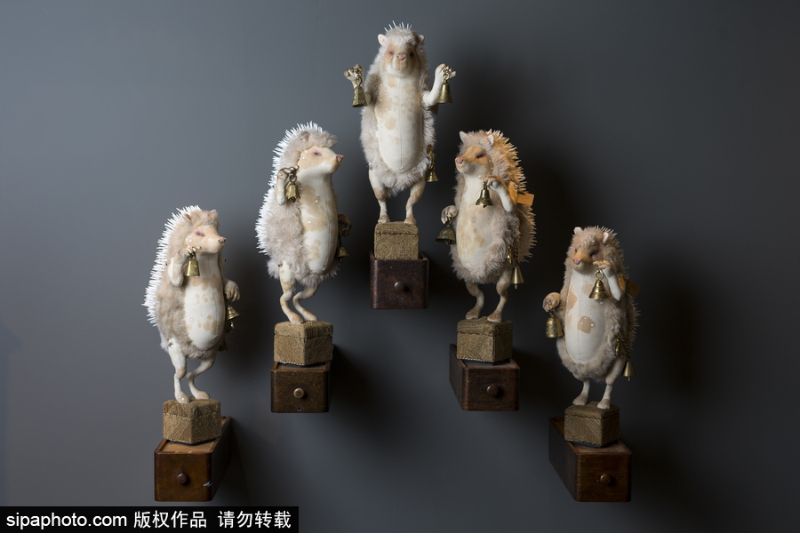 英國(guó)藝術(shù)家制作布藝動(dòng)物 妙手匠心栩栩如生