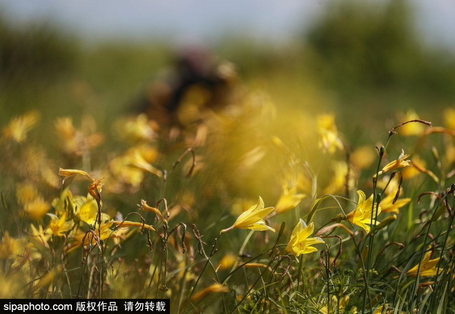 遠(yuǎn)離塵囂的動物棲息地 探訪俄羅斯別廖佐夫斯基自然保護(hù)區(qū)