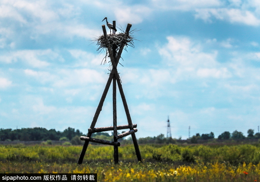 遠離塵囂的動物棲息地 探訪俄羅斯別廖佐夫斯基自然保護區(qū)