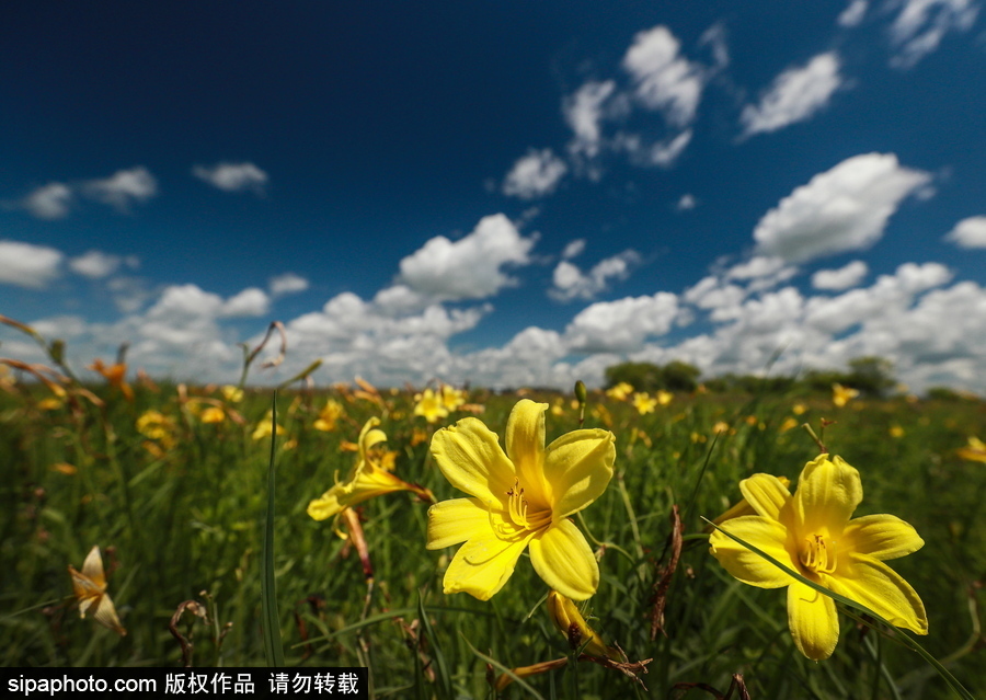遠(yuǎn)離塵囂的動物棲息地 探訪俄羅斯別廖佐夫斯基自然保護(hù)區(qū)