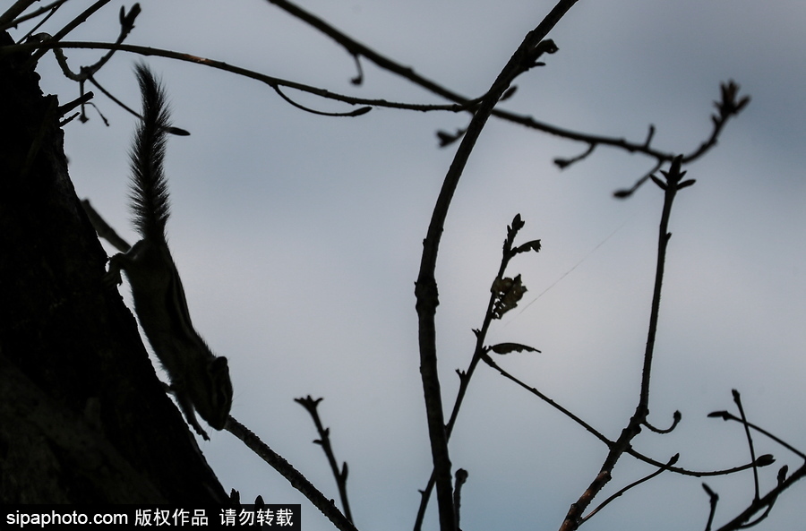 遠(yuǎn)離塵囂的動物棲息地 探訪俄羅斯別廖佐夫斯基自然保護(hù)區(qū)