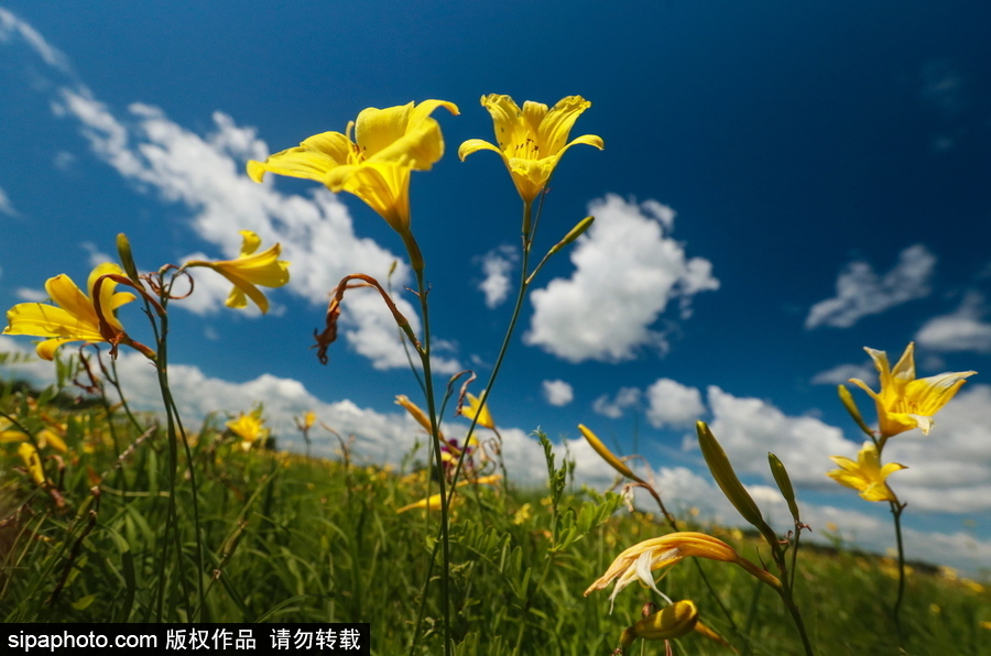 遠(yuǎn)離塵囂的動(dòng)物棲息地 探訪俄羅斯別廖佐夫斯基自然保護(hù)區(qū)