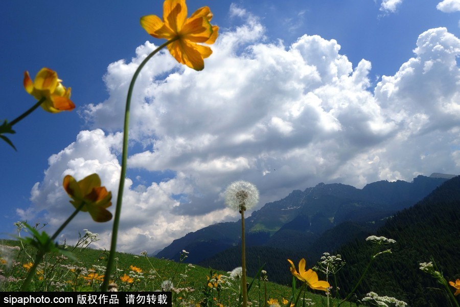 藍天白云刷屏！盤點風(fēng)清日朗的絕美風(fēng)光 為眼睛降溫