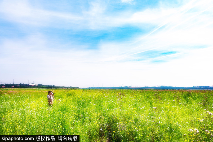 藍天白云刷屏!盤點風清日朗的絕美風光 為眼睛降溫