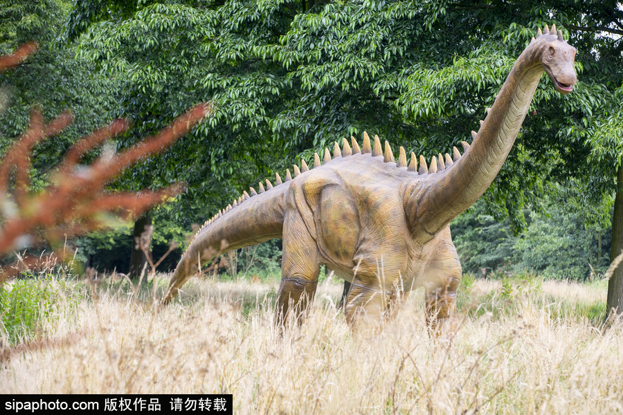 “侏羅紀(jì)王國(guó)”展覽首次亮相荷蘭 形象逼真似穿越回恐龍時(shí)代