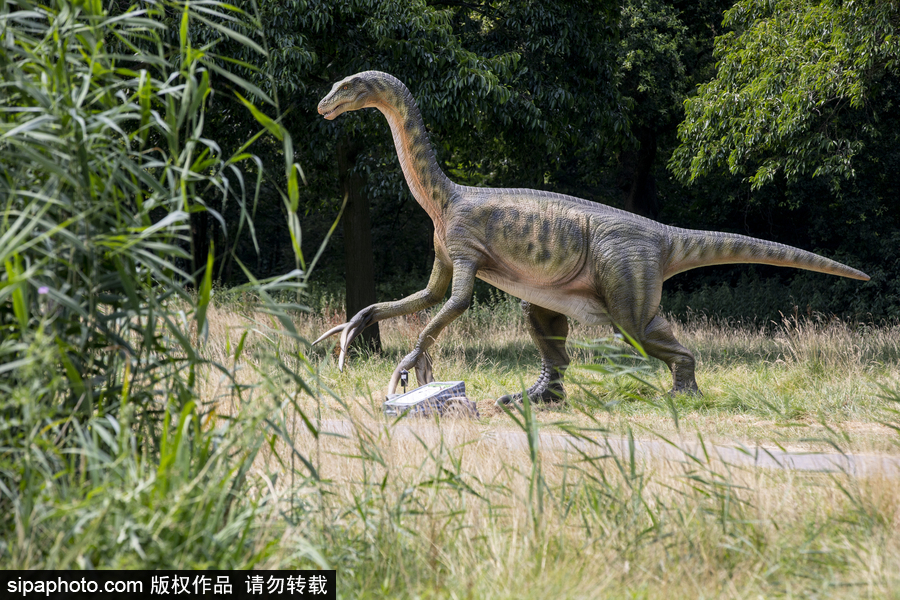 “侏羅紀王國”展覽首次亮相荷蘭 形象逼真似穿越回恐龍時代