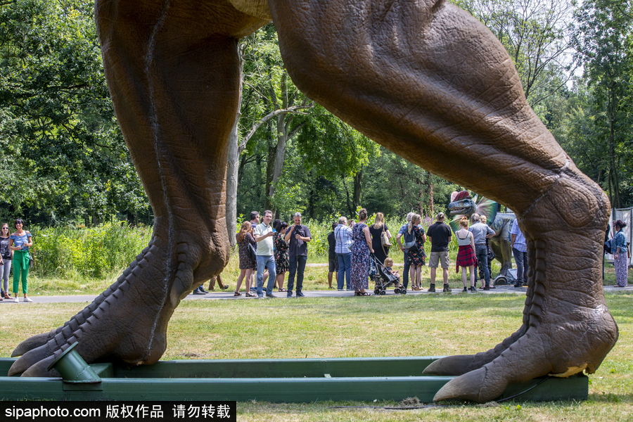 “侏羅紀王國”展覽首次亮相荷蘭 形象逼真似穿越回恐龍時代