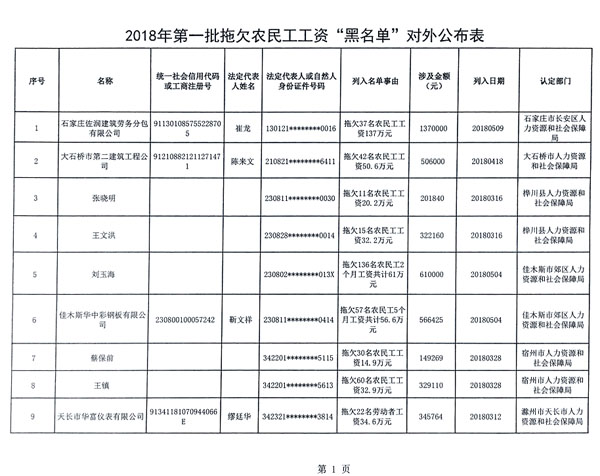 首批拖欠農(nóng)民工工資黑名單公布，被“拉黑”者融資貸款、乘飛機(jī)高鐵受限