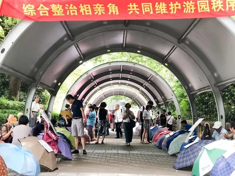 外媒說：為什么現(xiàn)在年輕人不著急結(jié)婚？美媒：因為更多女性經(jīng)濟獨立