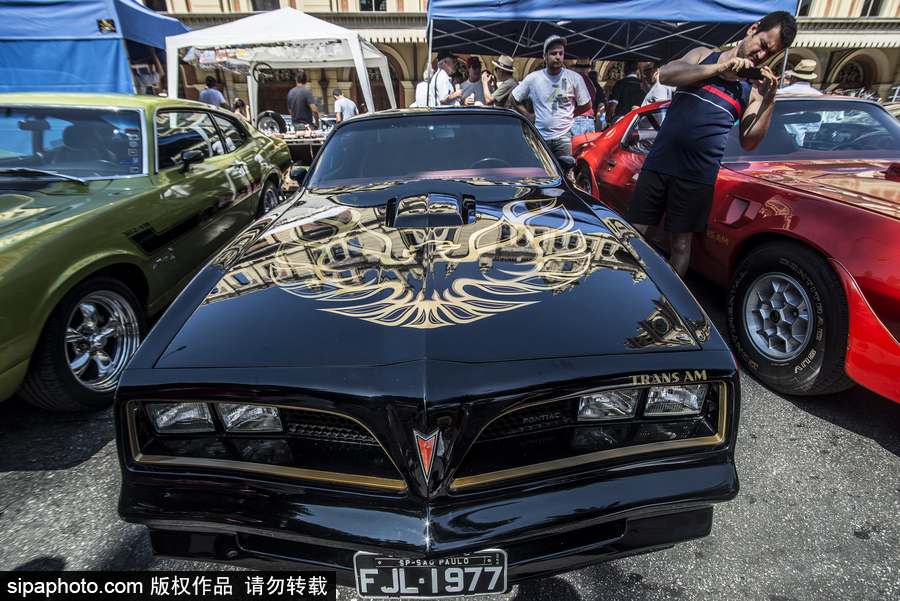 愛車人士大飽眼福！超百輛古董汽車在巴西圣保羅集會(huì)展出