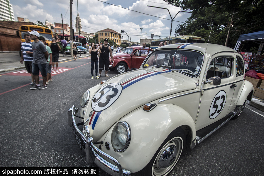 愛車人士大飽眼福！超百輛古董汽車在巴西圣保羅集會(huì)展出
