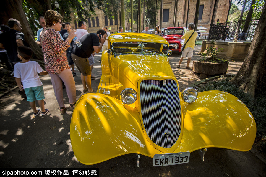 愛車人士大飽眼福！超百輛古董汽車在巴西圣保羅集會(huì)展出