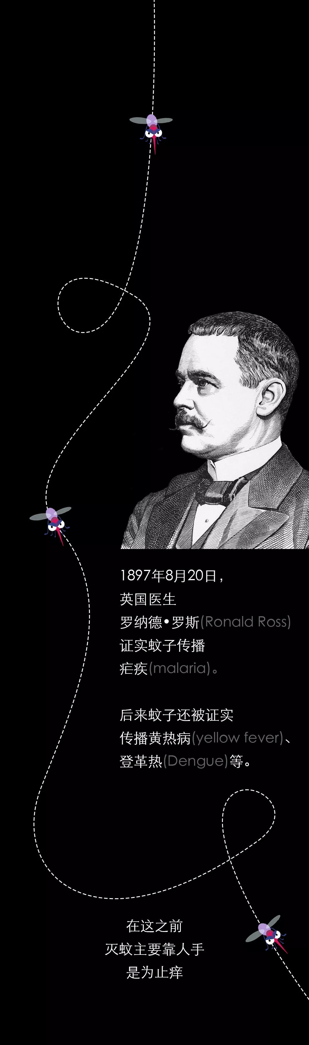 不開玩笑！今天是世！界！蚊！子！日！丨圖圖是道
