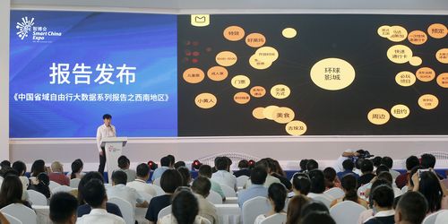 中國旅游大數(shù)據(jù)中心在智博會上授牌 一批智慧旅游新項目落戶重慶