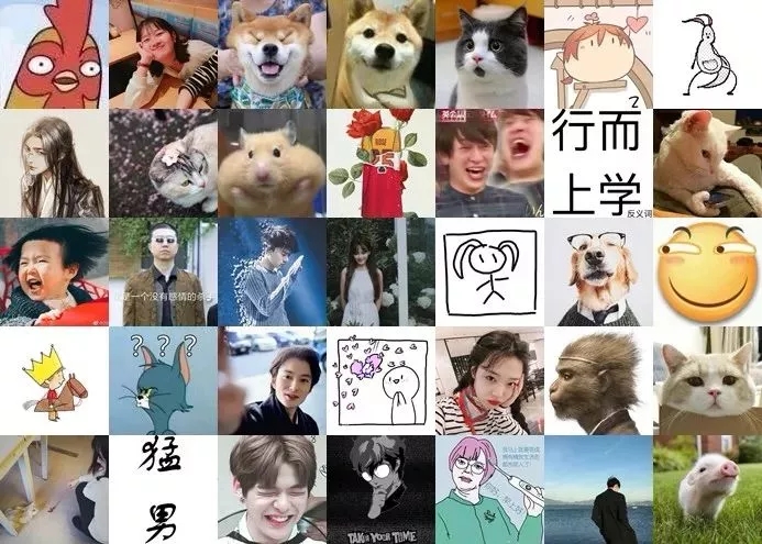 如果當(dāng)初換個(gè)頭像，我可能早脫單了！據(jù)說(shuō)用小動(dòng)物做頭像的，缺乏安全感