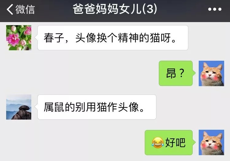 如果當(dāng)初換個(gè)頭像，我可能早脫單了！據(jù)說(shuō)用小動(dòng)物做頭像的，缺乏安全感