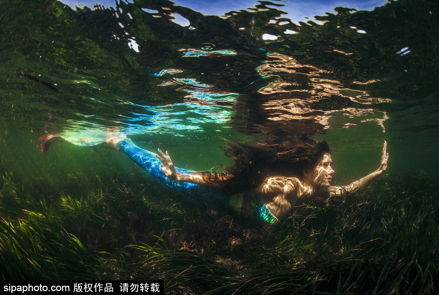 俄羅斯符拉迪沃斯托克：“美人魚”模特水中拍照再現(xiàn)童話場景
