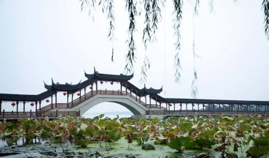蘇州桃花源 中國頂級物業(yè)投資下一個峰值 劍指何方？