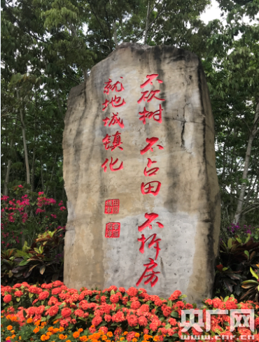 潮起海之南：特區(qū)海南，海南特色
