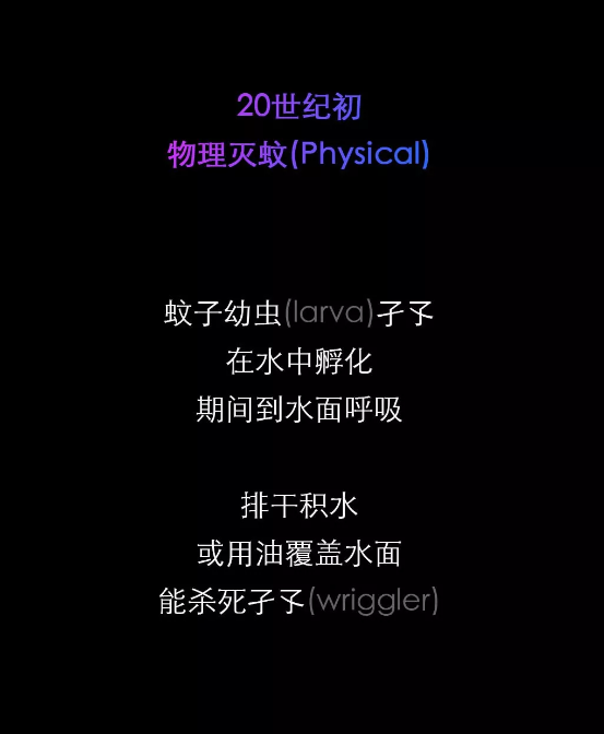 不開玩笑！今天是世！界！蚊！子！日！丨圖圖是道