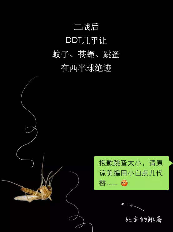 不開玩笑！今天是世！界！蚊！子！日！丨圖圖是道