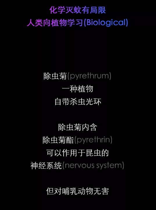不開玩笑！今天是世！界！蚊！子！日！丨圖圖是道