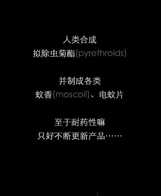 不開玩笑！今天是世！界！蚊！子！日！丨圖圖是道