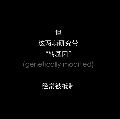 不開玩笑！今天是世！界！蚊！子！日！丨圖圖是道
