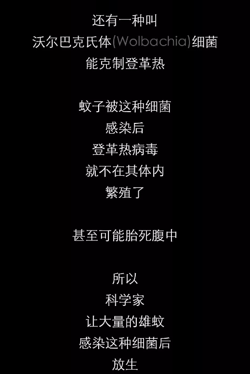 不開玩笑！今天是世！界！蚊！子！日！丨圖圖是道