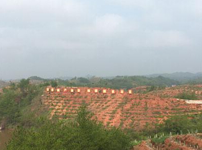 【網(wǎng)絡(luò)媒體走轉(zhuǎn)改】習(xí)近平扶貧思想在贛南開(kāi)花結(jié)果