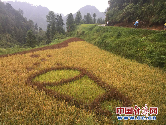 【網(wǎng)絡(luò)媒體走轉(zhuǎn)改】十八洞村的特色精準扶貧路